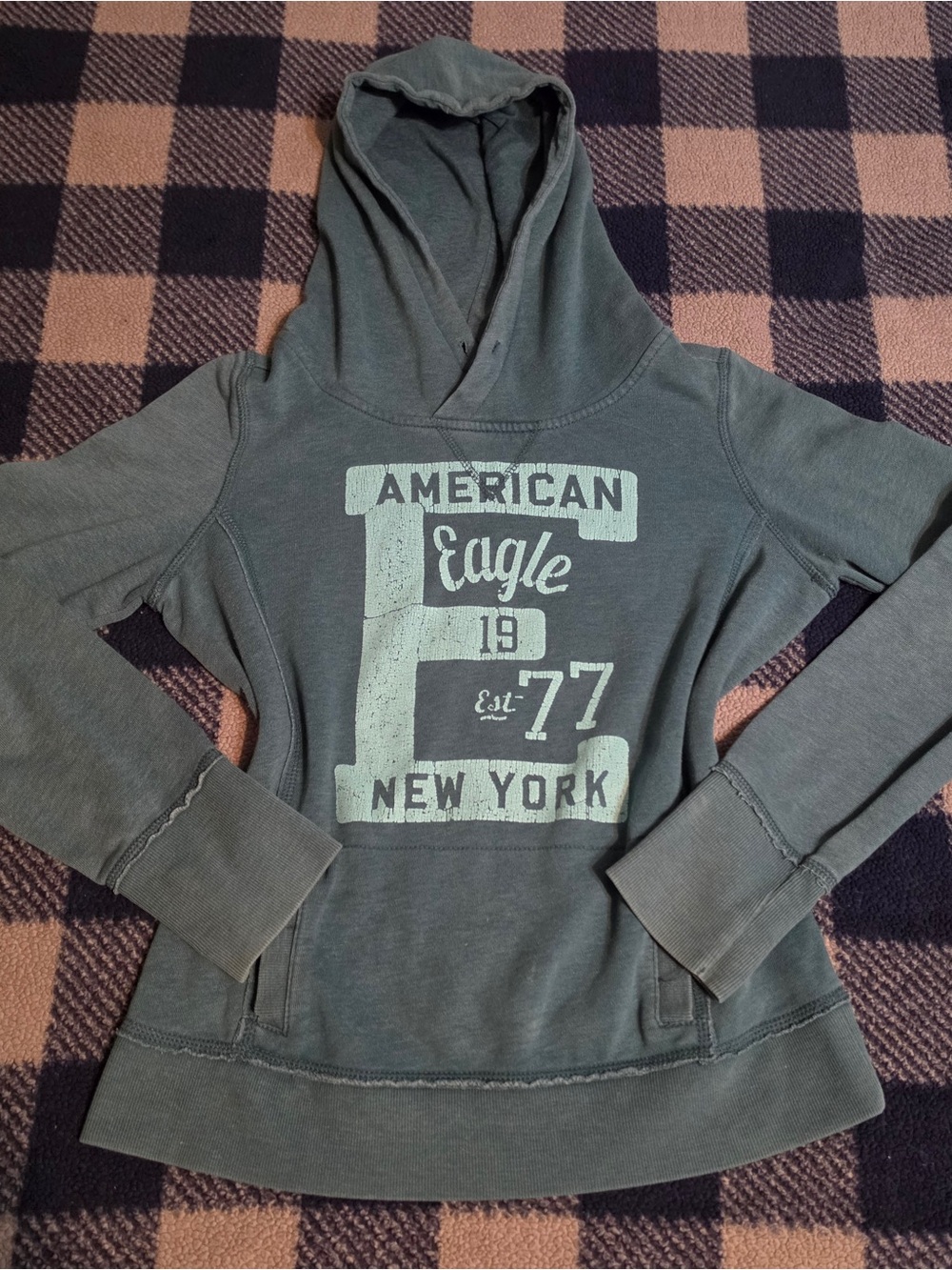 Y2k style American eagle hoodie